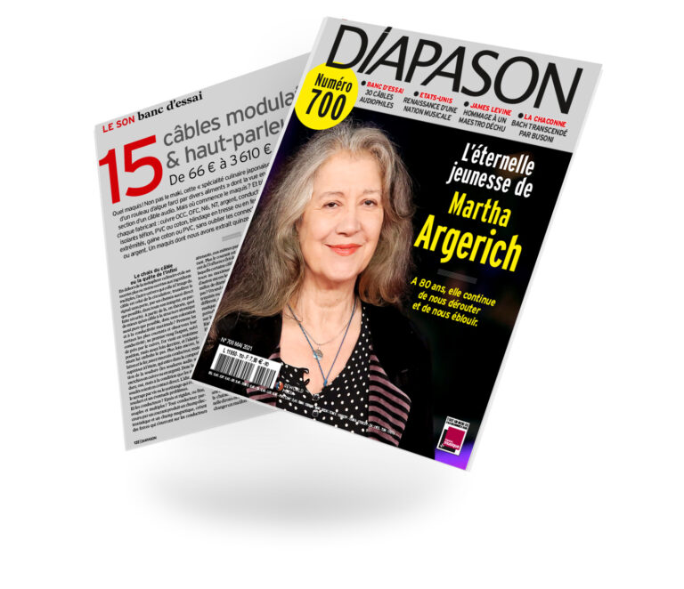 Rapport de test de Diapason NF-A1 sur les câbles d'enceintes RCA et SC-4