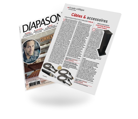 Rapport de test sur SC-6 speaker cable / NF-S6 analog cable de VIABLUE™